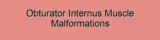 Obturator Internus Muscle Malformations