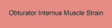 Obturator Internus Muscle Strain