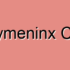 Pachymeninx Lesions
