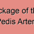 Dorsalis Pedis Artery Occlusion