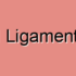 Peritoneal Ligament Malformations