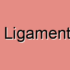 Peritoneal Ligament Diseases