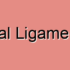 Peritoneal Ligament Cramps
