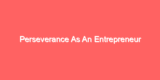 Perseverance As An Entrepreneur