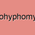 Immune System