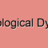 Double Deficit Dyslexia (DDD)