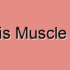 Piriformis Muscle Dystrophy