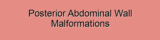 Posterior Abdominal Wall Malformations
