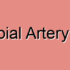 Posterior Tibial Artery Metastatic Calcification
