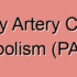 Pulmonary Arteries Embolism