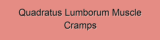 Quadratus Lumborum Muscle Cramps