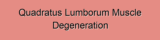 Quadratus Lumborum Muscle Degeneration
