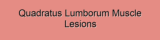 Quadratus Lumborum Muscle Lesions