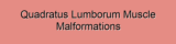 Quadratus Lumborum Muscle Malformations