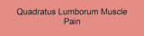 Quadratus Lumborum Muscle Pain