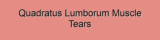 Quadratus Lumborum Muscle Tears