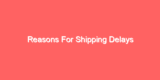 Reasons For Shipping Delays