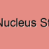 Red Nucleus Atrophy