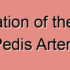 Non-Aneurysmal Stenosis of the Dorsalis Pedis Artery