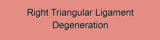 Right Triangular Ligament Degeneration