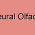 Temporary Olfactory Neuropathy
