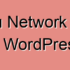 Why Can’t You See All Plugins on WordPress Multisite Installs