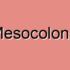Sigmoid Colon Constipation