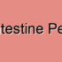 Large Intestine Peristalsis