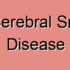 Mitochondrial Encephalopathy