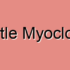 Progressive Myoclonus Epilepsy (PME)