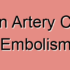Subclavian Artery Embolism