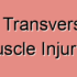 Superficial Transverse Perineal Muscle Tumors