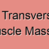 Superficial Transverse Perineal Muscle Tumors