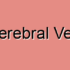 Superior Cerebral Veins Tumors: