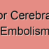 Superior Cerebral Veins Fibrillation: