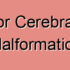 Superior Cerebral Veins Diseases