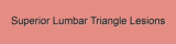 Superior Lumbar Triangle Lesions