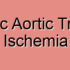 Thoracic Aortic Hemorrhagic Infarction