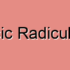Cervical C8 Radiculopathy/Cervical Bellow C7 Radiculopathy