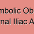 Degenerative Stenosis of the Internal Iliac Artery