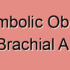Degenerative Stenosis of the Brachial Artery