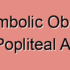Degenerative Stenosis of the Popliteal Artery