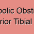 Degenerative Stenosis of the Posterior Tibial Artery