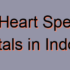 Top 30 Liver Specialized Hospitals in Indonesia