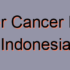 Top 30 Breast Cancer Hospitals in Indonesia