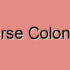 Transverse Colon Tumors