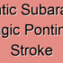 Spontaneous Subarachnoid Hemorrhagic Pontine Arteries Stroke