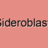 Hereditary Sideroblastic Anemia