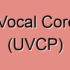 Vocal Cord Paralysis
