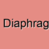 Urogenital Diaphragm Injury